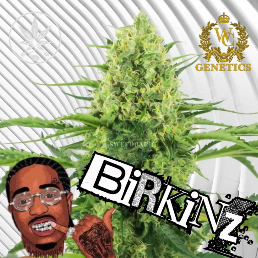 Birkinz